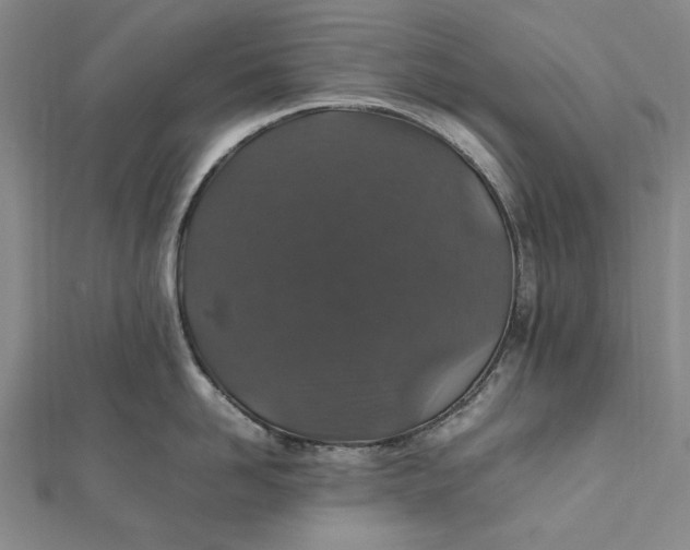 X0000112010958200908241452