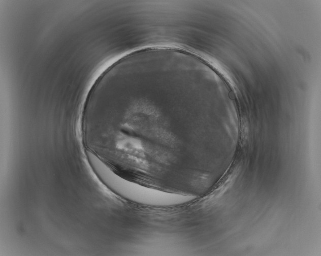 X0000112010959200908241452