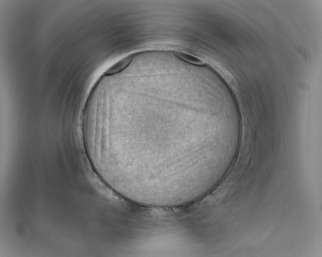 X0000112010960200908241452