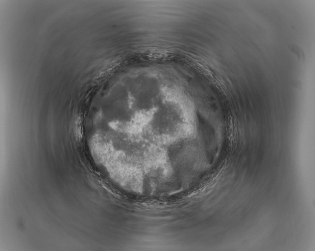 X0000112010962200908241451