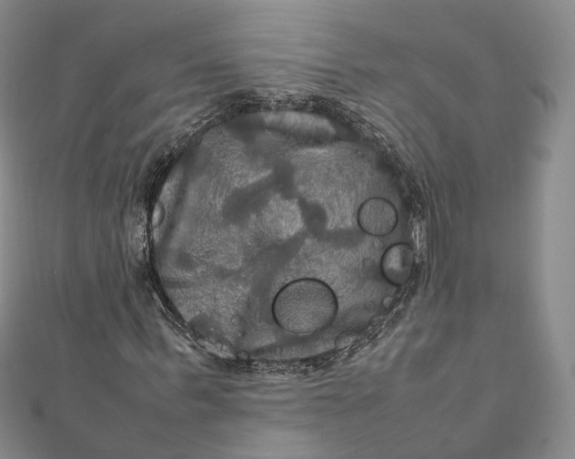 X0000112010963200908241451