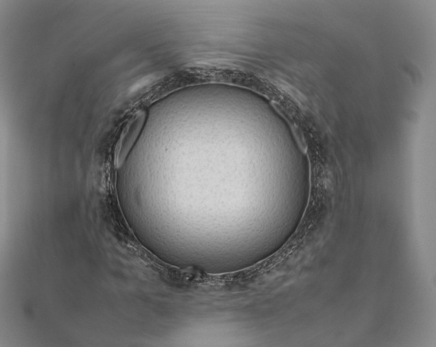 X0000112010965200908241451