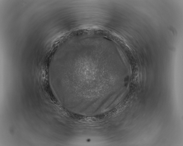 X0000112010966200908241451