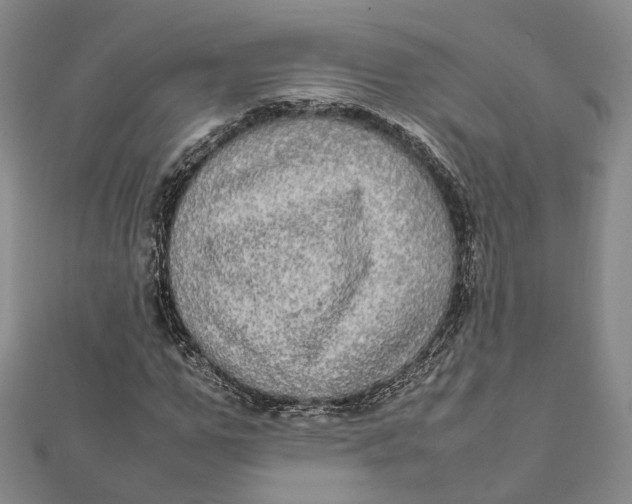 X0000112010967200908241451