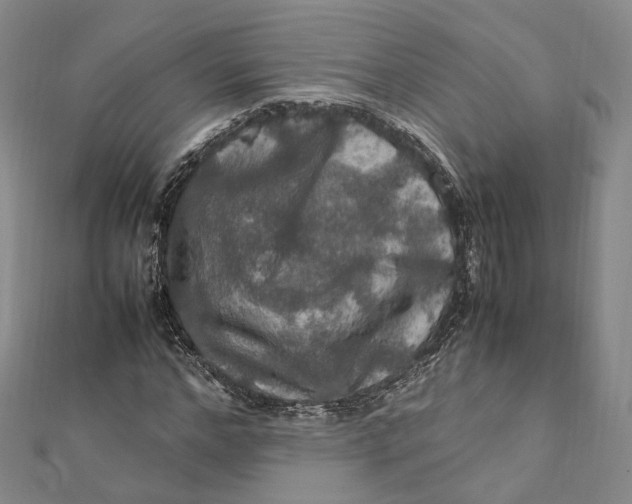 X0000112010968200908241451