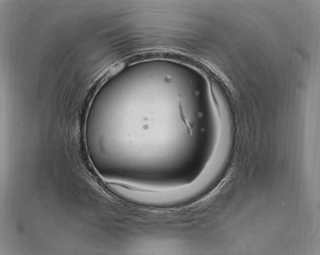 X0000112010969200908241451