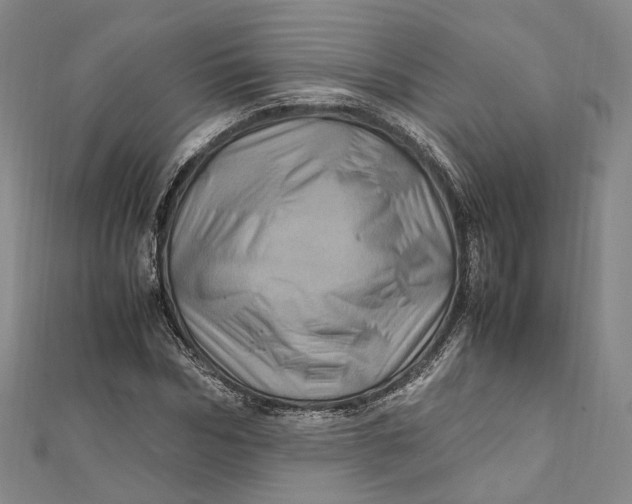 X0000112010970200908241451