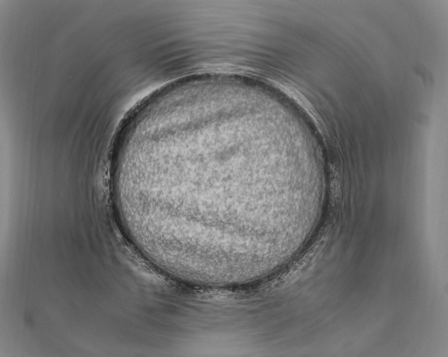 X0000112010971200908241451