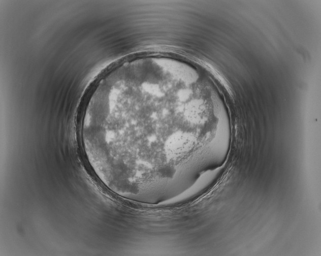 X0000112010972200908241451