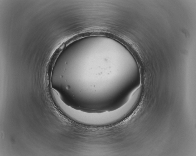 X0000112010973200908241451