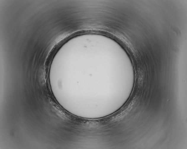 X0000112010974200908241451