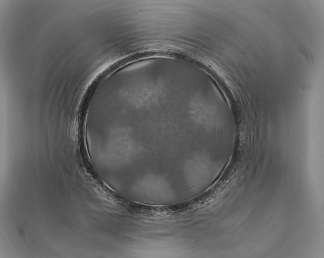 X0000112010975200908241451