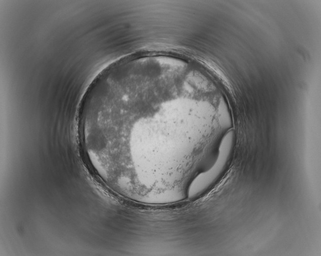 X0000112010976200908241451