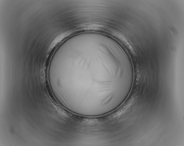 X0000112010978200908241451