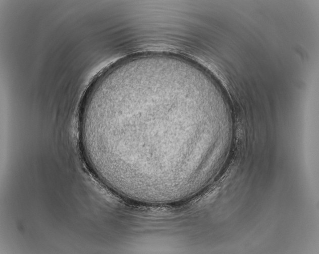 X0000112010979200908241451