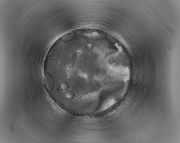 X0000112010980200908241451