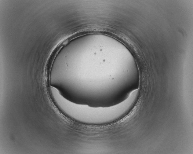 X0000112010981200908241451