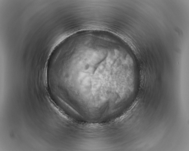 X0000112010982200908241451