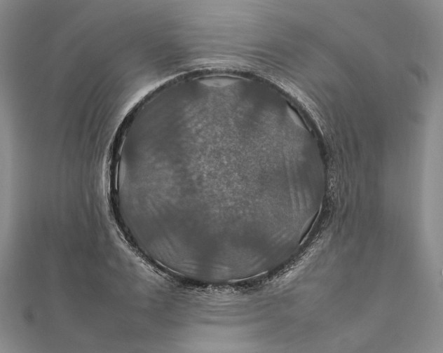 X0000112010983200908241451