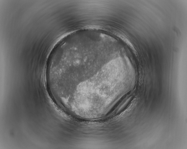 X0000112010984200908241451