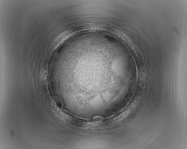 X0000112010985200908241451