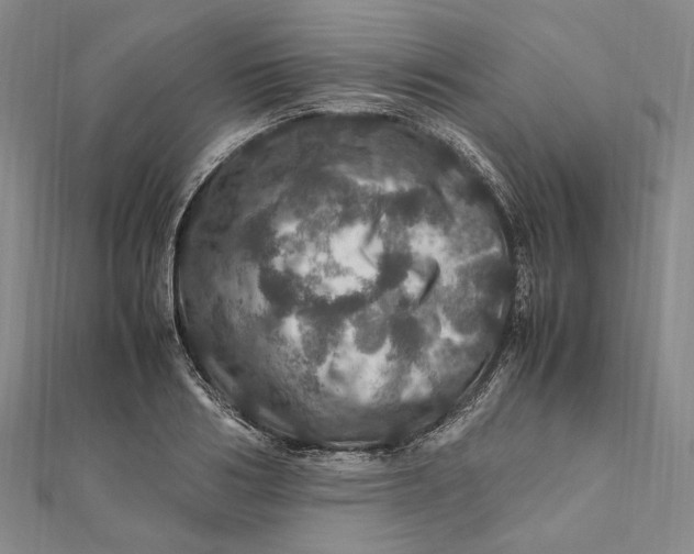 X0000112010986200908241451