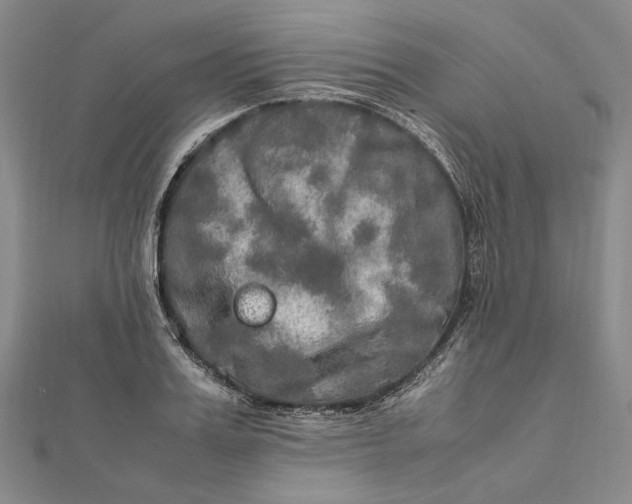 X0000112010987200908241451