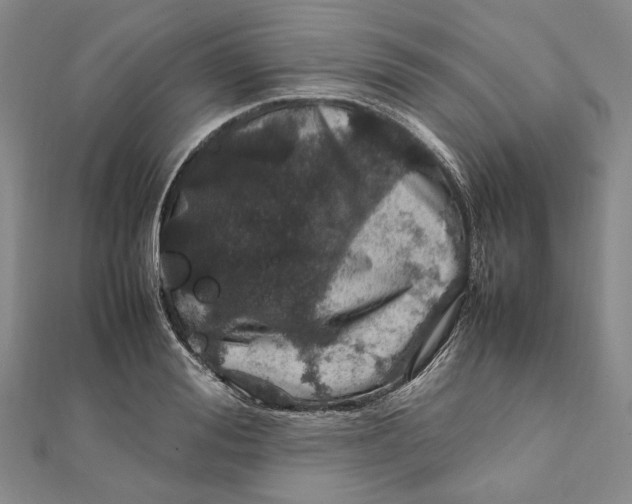 X0000112010988200908241451