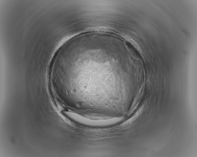 X0000112010989200908241451