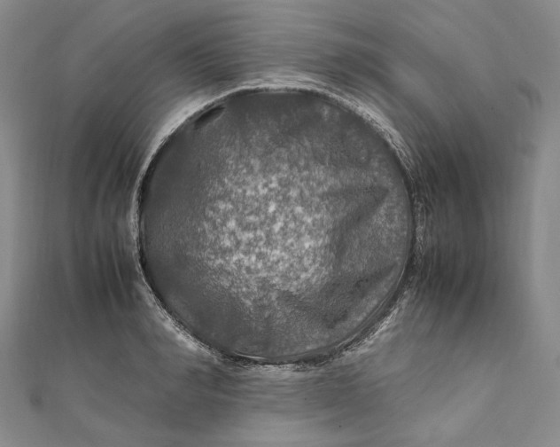 X0000112010990200908241451