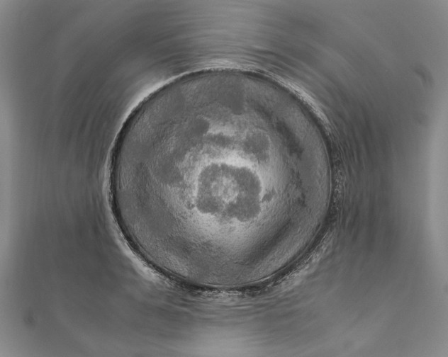 X0000112010991200908241451