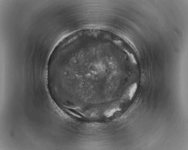 X0000112010992200908241451