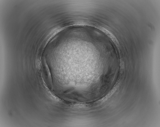 X0000112010993200908241451