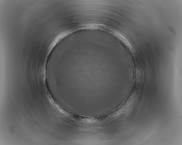 X0000112010994200908241451