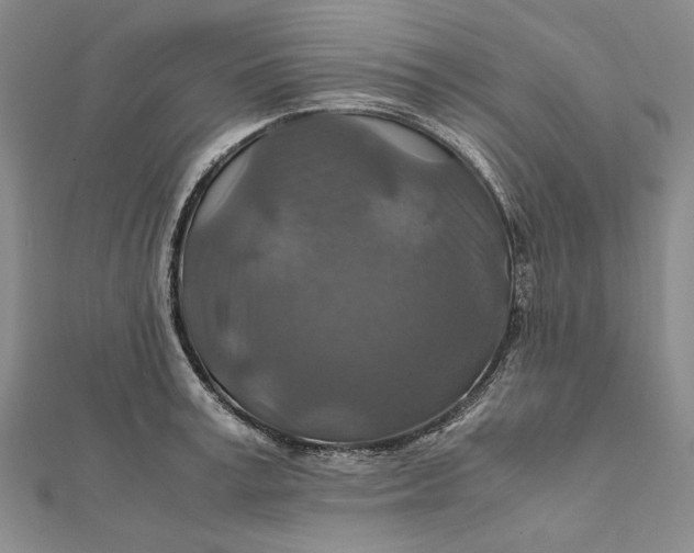 X0000112010995200908241451