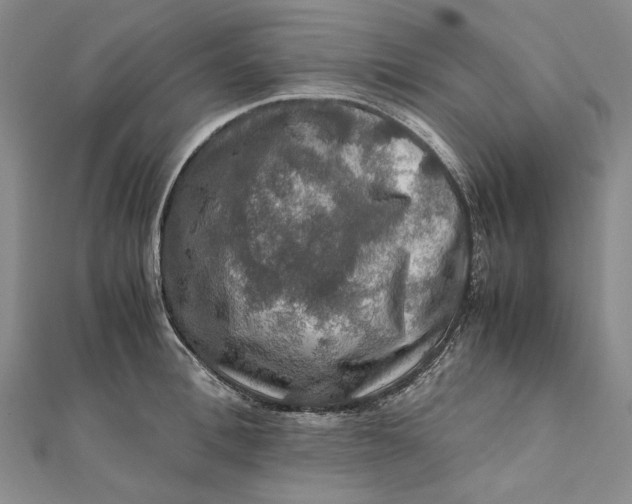 X0000112010996200908241451