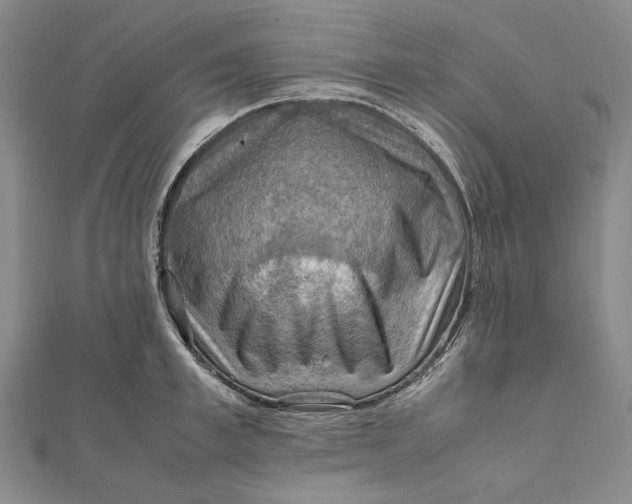 X0000112010997200908241451