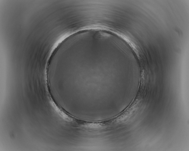 X0000112010998200908241451