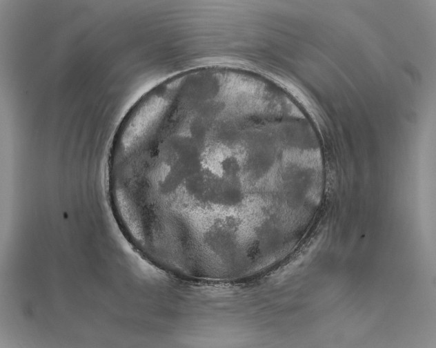 X0000112010999200908241451