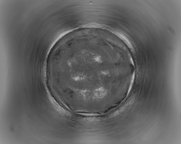 X0000112011000200908241451