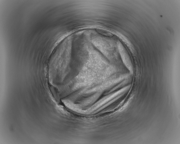 X0000112011001200908241451