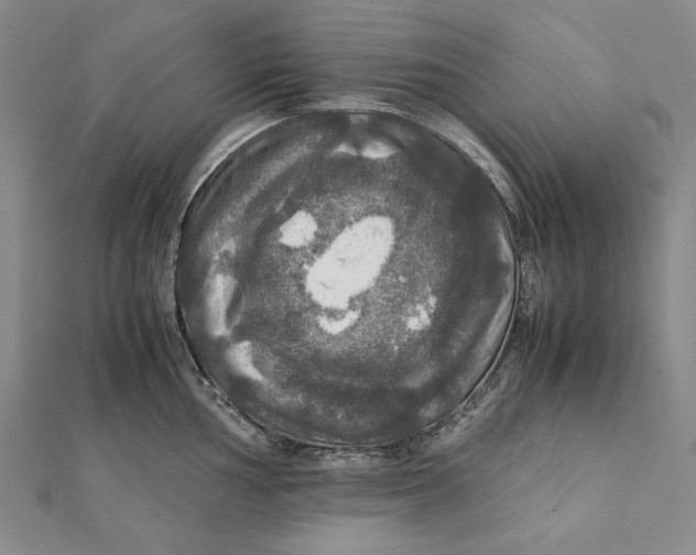 X0000112011002200908241451