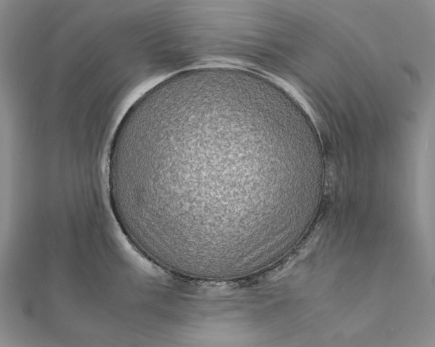 X0000112011003200908241451