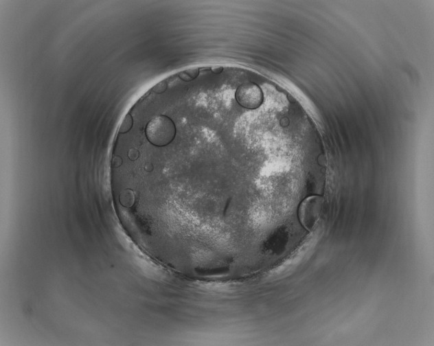 X0000112011004200908241450