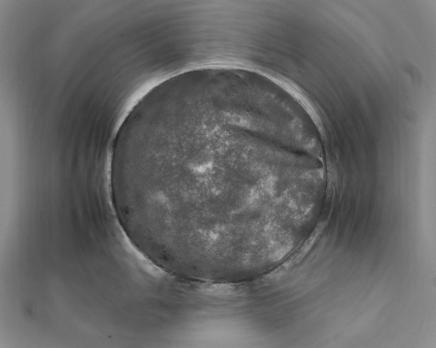 X0000112011006200908241450