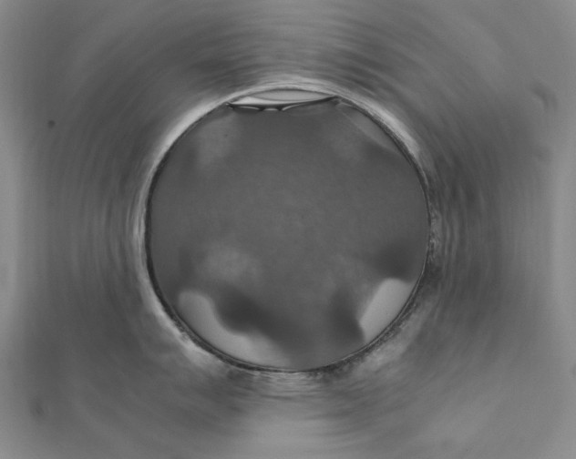 X0000112011007200908241450