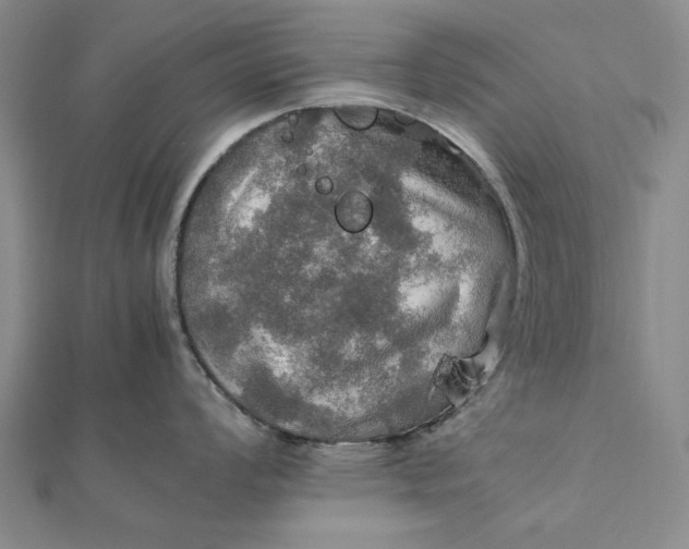 X0000112011008200908241450