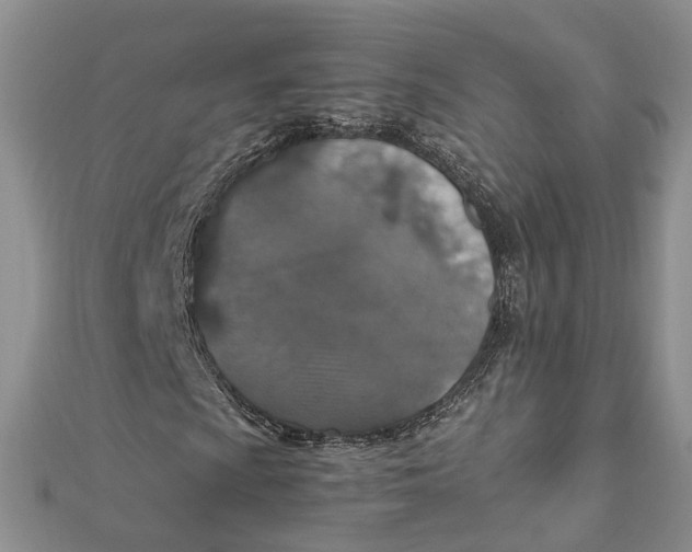 X0000112011009200908241450