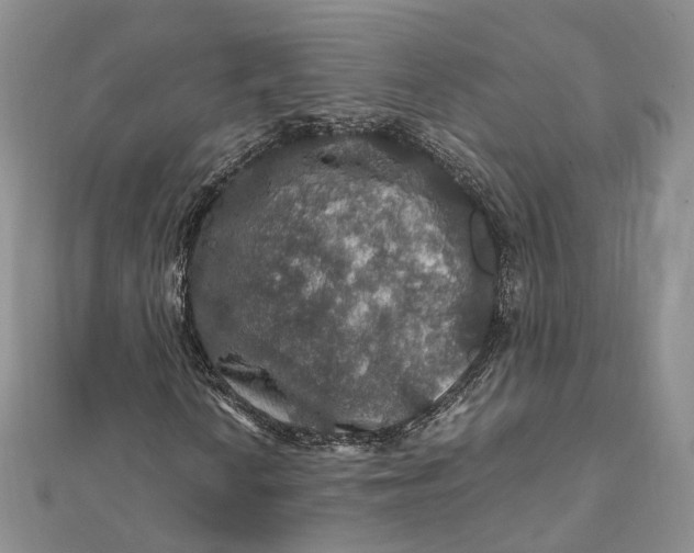 X0000112011010200908241450