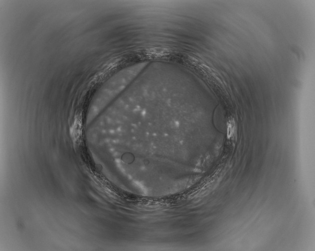 X0000112011011200908241450